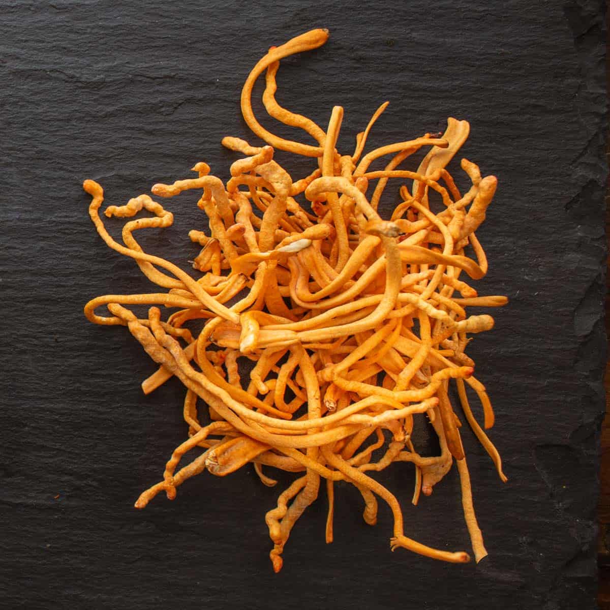 Organic Cordyceps Mushroom Powder image 3