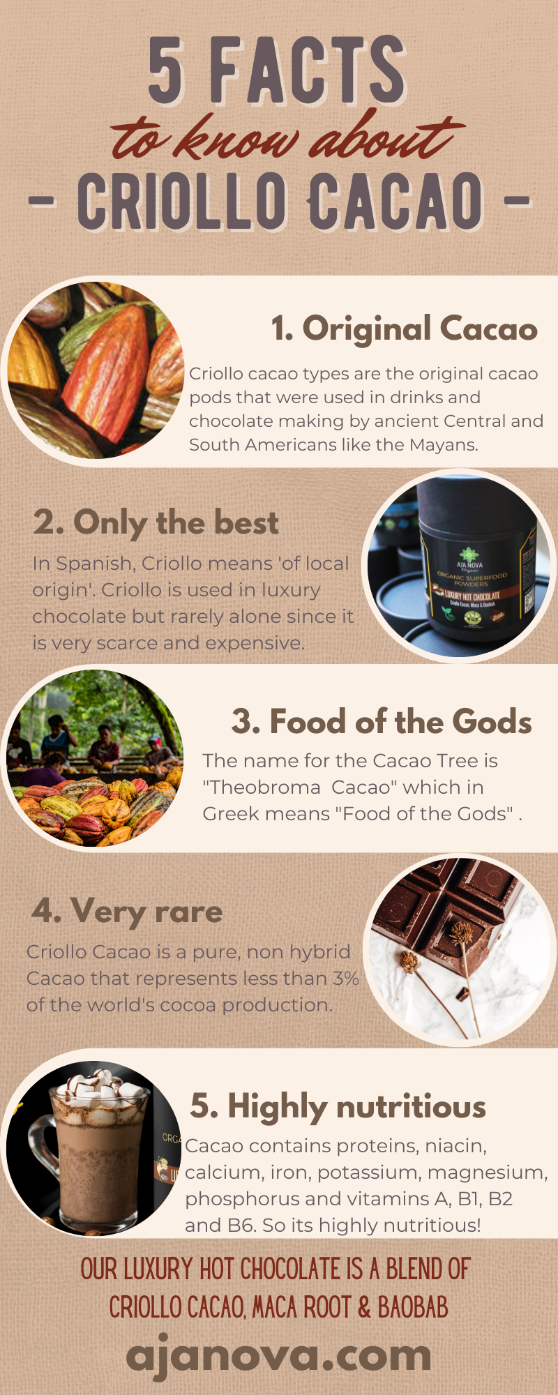 Organic Luxury Hot Chocolate image 3