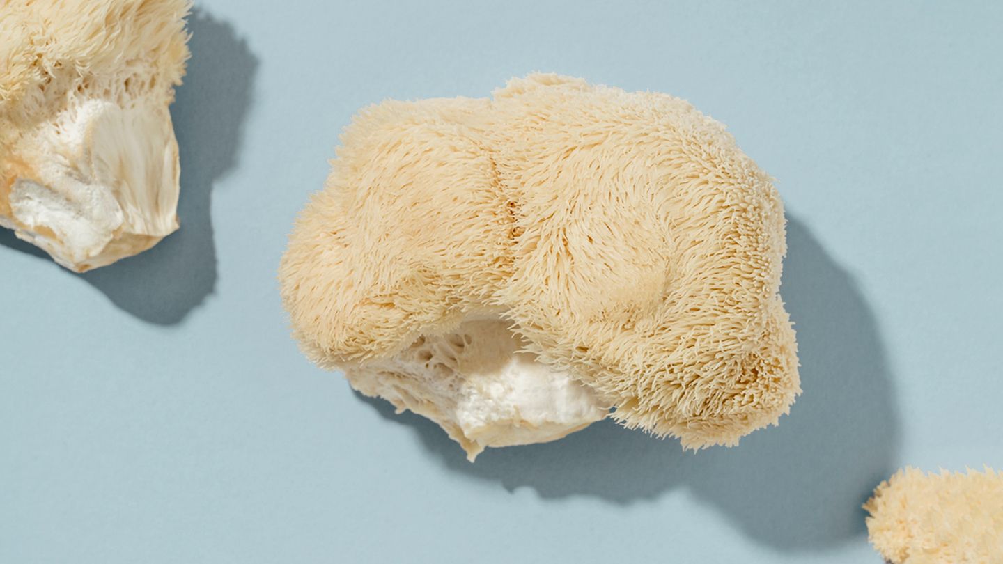 Organic Lion's Mane Mushroom Powder image 3